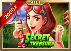 SECRET TREASURE