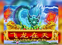 FEI LONG ZAI TIAN