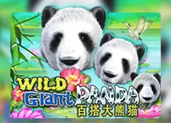 WILD GIANT PANDA